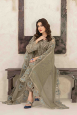 Fancy Organza 3 piece Suit Mehndi