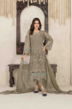 Fancy Organza 3pc Suit Mehndi