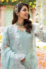 Light Color 3 Piece Embroidered Organza Suit