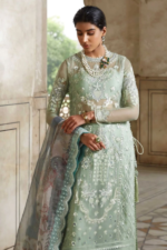 Light Green Color 3 Piece Organza Suit