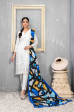 Daman + Boti Embroidered Staple Suit Design-3 pic1