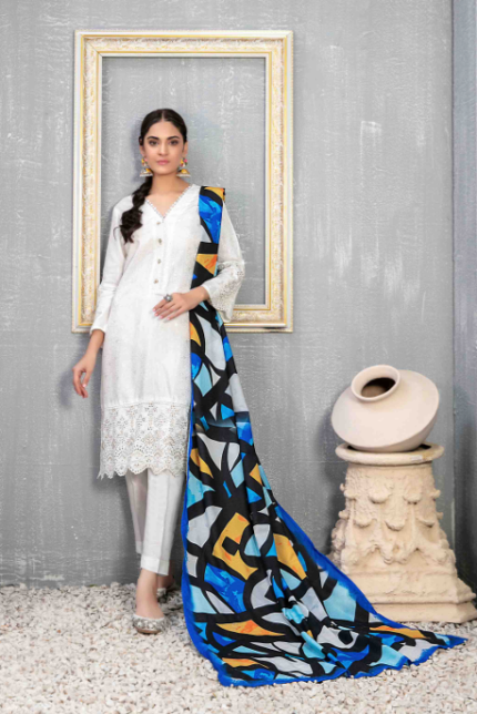 Daman + Boti Embroidered Staple Suit Design-3 pic1