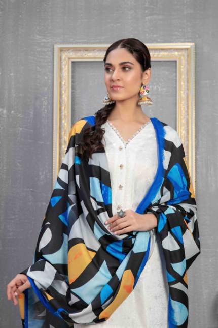 Daman + Boti Embroidered Staple Suit Design-3 pic2