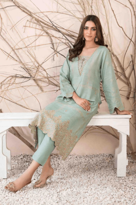 Daman-Embroidered-Khaddar-Broshia-Banarsi-Suit-Design-3-pic-2