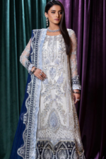 Embroidered Luxury Organza Suit Design-2 Pic-1