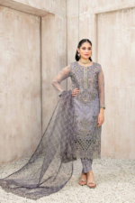Fancy Heavy Embroidered Organza Collection Design-5 pic1