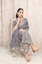 Fancy Heavy Embroidered Organza Collection Design-5 pic2