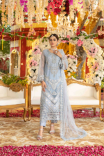 Exquisite Heavy Embroidered Fancy Suit Design-5 pic-1