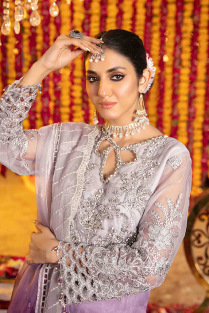 Exquisite Heavy Embroidered Fancy Suit Design-1 pic-2