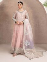 Fancy Embroidered Maxi Design-1 pic