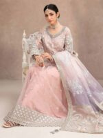 Fancy Embroidered Maxi Design-1 pic2