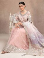 Fancy Embroidered Maxi Design-1 pic2