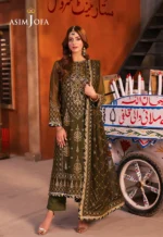 Green Chiffon 3pc Suit pic1