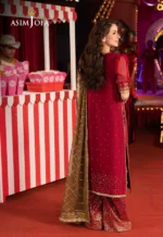 Maroon Chiffon 3pc Suit pic2