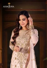 Peach Net Fabric 3ps suit pic2