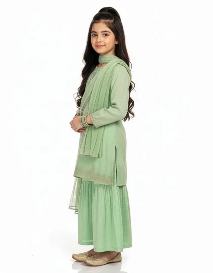 Green impure chiffon embroidered stitched 3pc